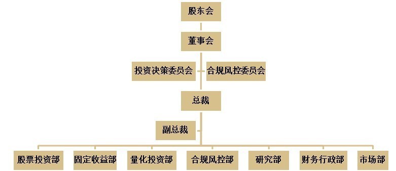 公司董事会架构图|董事会作为公司的执行机构